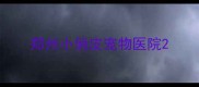 郑州小俏皮宠物医院
