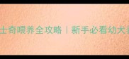 3个月哈士奇喂养全攻略新手必看幼犬养护指南