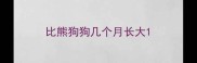 比熊狗狗几个月长大
