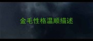 金毛性格温顺描述