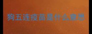 狗五连疫苗是什么意思