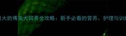 两个月大的博美犬饲养全攻略新手必看的营养护理与训练指南