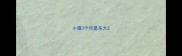 小猫3个月是多大