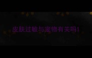皮肤过敏与宠物有关吗
