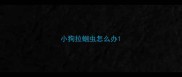 小狗拉蛔虫怎么办