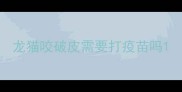 龙猫咬破皮需要打疫苗吗