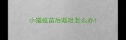 小猫疫苗后呕吐怎么办