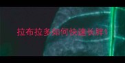 拉布拉多如何快速长胖