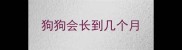 狗狗会长到几个月