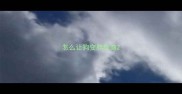 怎么让狗变胖泰迪