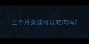 三个月泰迪可以吃肉吗