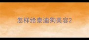 怎样给泰迪狗美容
