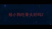 给小狗吃骨头好吗