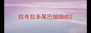 拉布拉多尾巴细细的