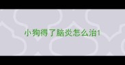 小狗得了脑炎怎么治