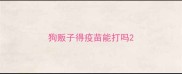 狗贩子得疫苗能打吗