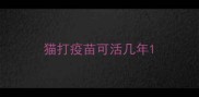 猫打疫苗可活几年