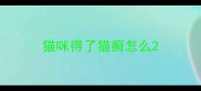 猫咪得了猫癣怎么