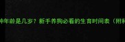 公狗最佳配种年龄是几岁新手养狗必看的生育时间表附科学养犬指南