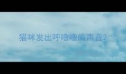 猫咪发出呼噜噜的声音
