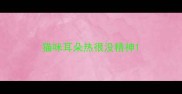 猫咪耳朵热很没精神