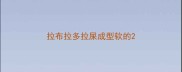 拉布拉多拉屎成型软的