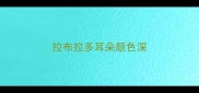拉布拉多耳朵颜色深