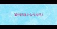 猫咪肝腹水会传染吗