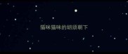 猫咪猫咪的胡须朝下