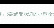 哈士奇混血品种推荐5款超受欢迎的小型哈士奇犬种及饲养指南