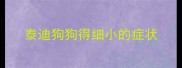 泰迪狗狗得细小的症状