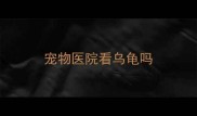 宠物医院看乌龟吗
