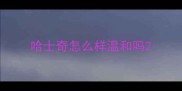 哈士奇怎么样温和吗
