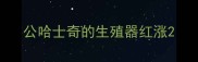 公哈士奇的生殖器红涨