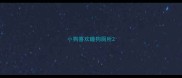 小狗喜欢睡狗厕所
