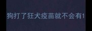 狗打了狂犬疫苗就不会有