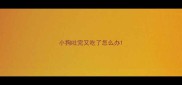 小狗吐完又吃了怎么办