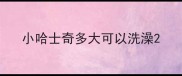 小哈士奇多大可以洗澡