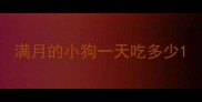 满月的小狗一天吃多少