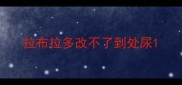 拉布拉多改不了到处尿