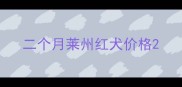 二个月莱州红犬价格