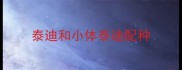 泰迪和小体泰迪配种