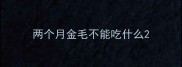 两个月金毛不能吃什么