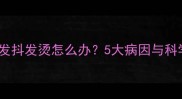 泰迪犬突然发抖发烫怎么办5大病因与科学护理指南