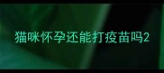 猫咪怀孕还能打疫苗吗