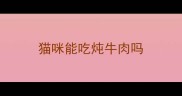 猫咪能吃炖牛肉吗