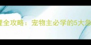 泰迪犬打斗出血应急处理全攻略宠物主必学的5大急救措施与矛盾预防指南