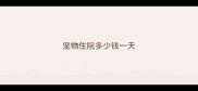 宠物住院多少钱一天