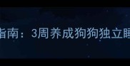 幼犬自主入睡训练指南3周养成狗狗独立睡眠习惯的实用方法