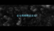 金毛眼睛眼皮发红